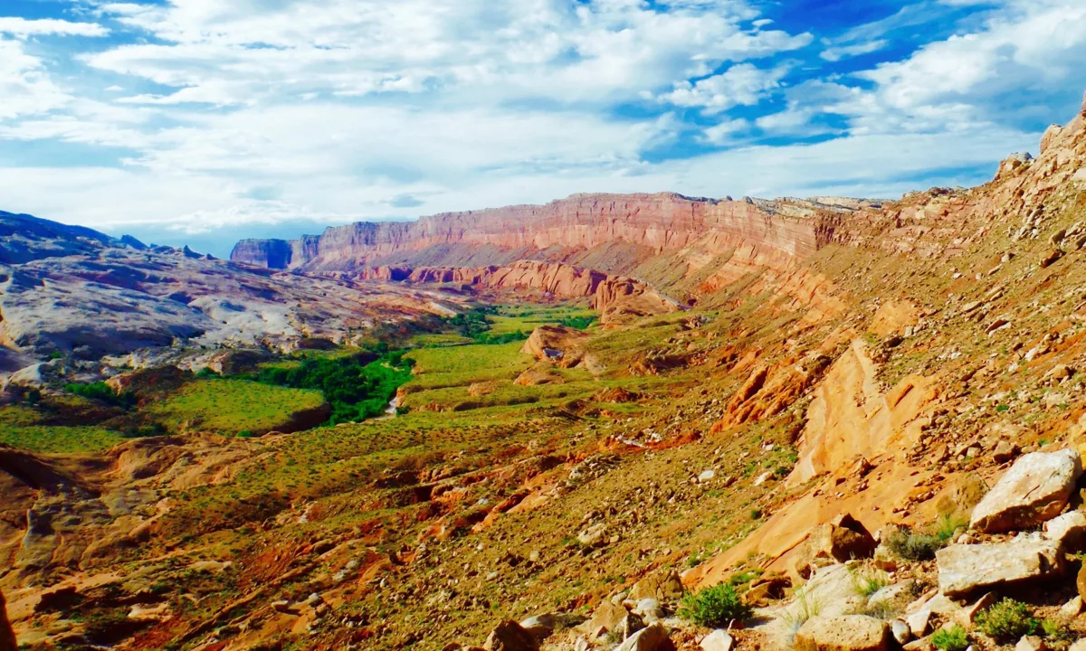 The Fruita valley and red cliffs of Capitol Reef from a trail above