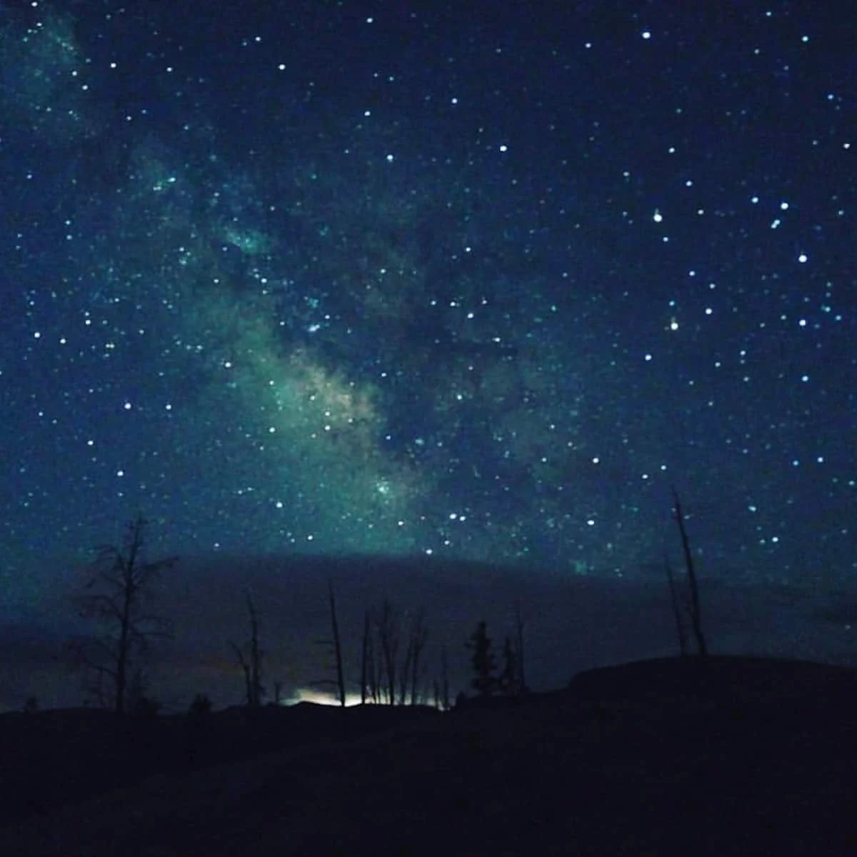 The Milky Way over a dark ridge lined with bare trees